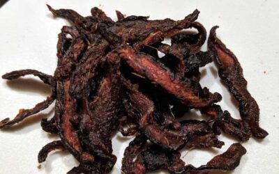 Shiitake Vegan Jerky